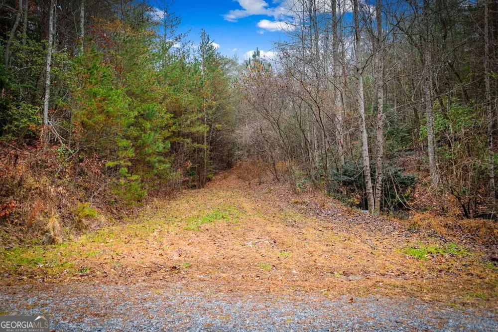 1.5 ACRE Bullen Gap RD Blue Ridge, GA 30513