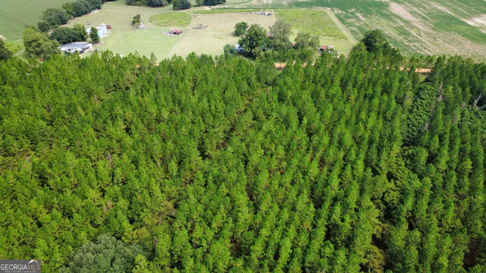 TRACT 2 A L Reeves RD Fitzgerald, GA 31750