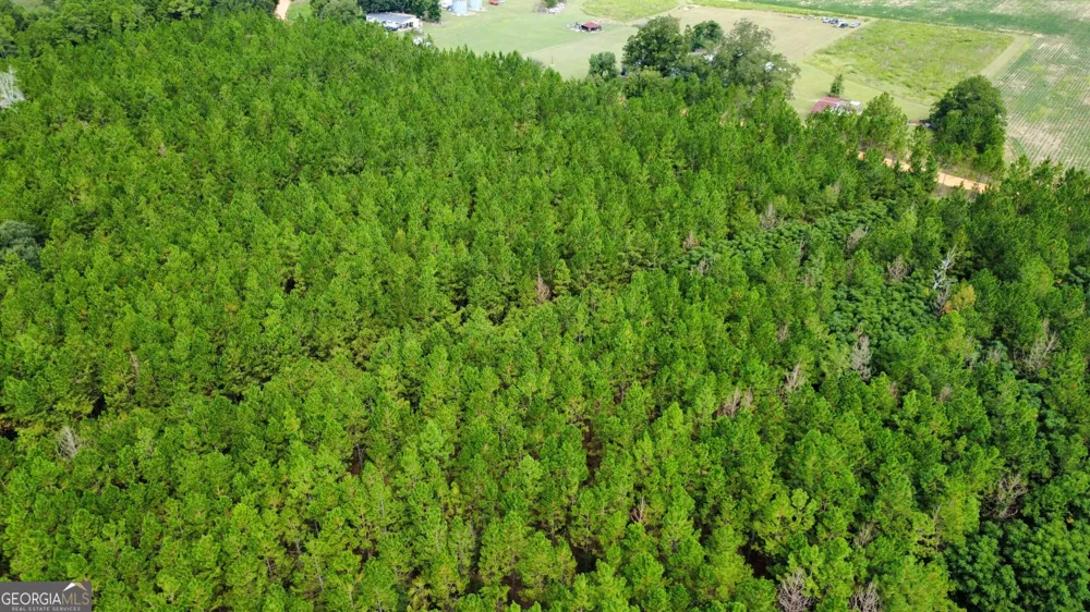 TRACT 2 A L Reeves RD Fitzgerald, GA 31750