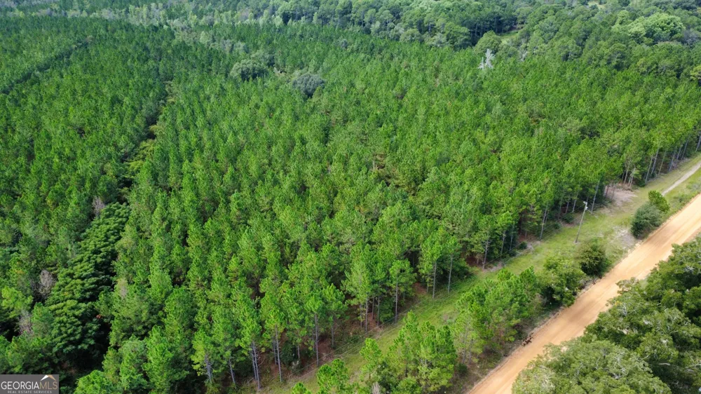 TRACT 2 A L Reeves RD Fitzgerald, GA 31750