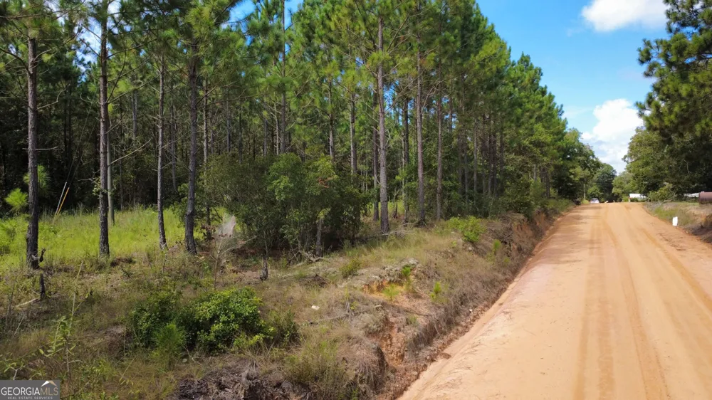 TRACT 2 A L Reeves RD Fitzgerald, GA 31750