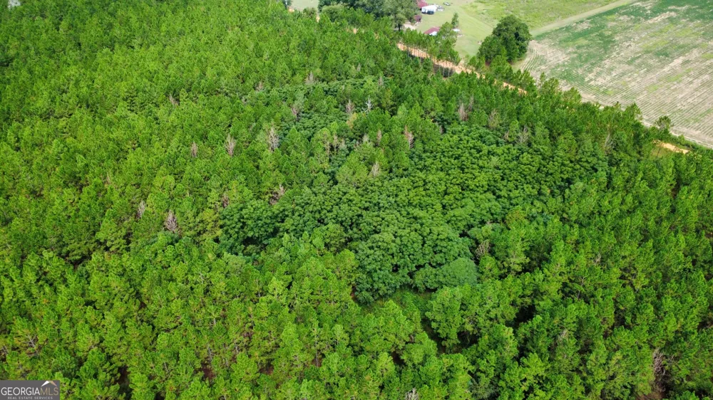 TRACT 3 A L Reeves RD Fitzgerald, GA 31750