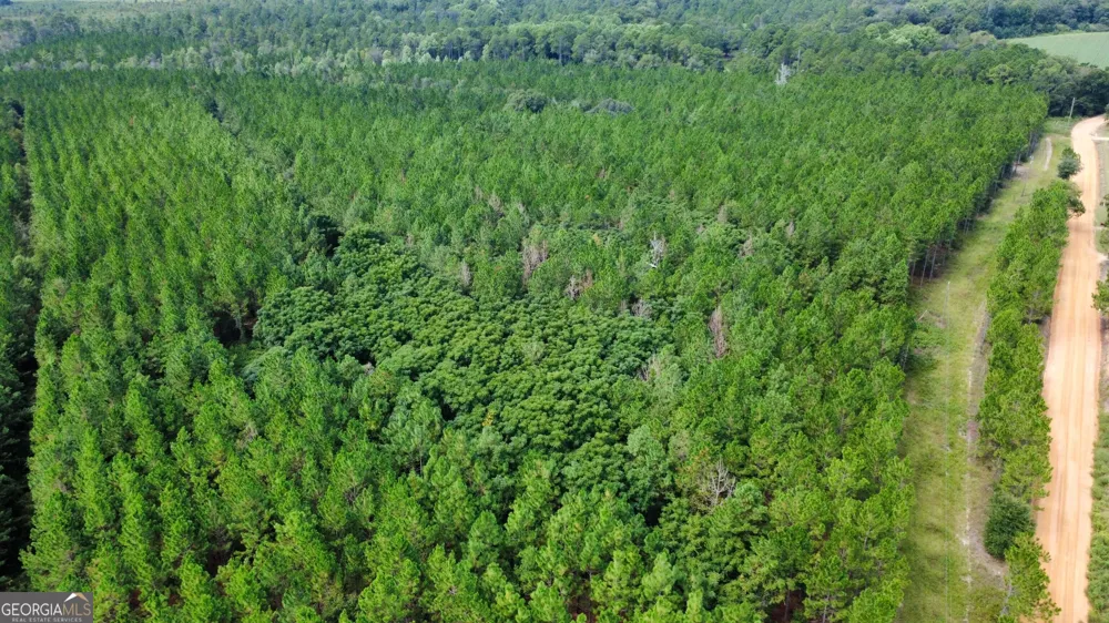 TRACT 3 A L Reeves RD Fitzgerald, GA 31750