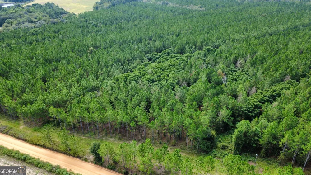 TRACT 3 A L Reeves RD Fitzgerald, GA 31750