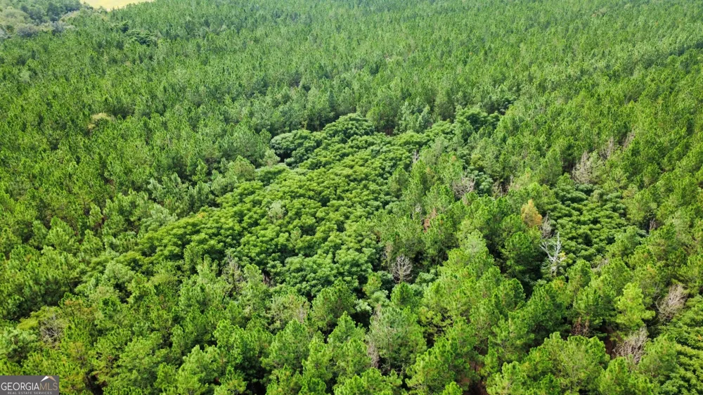 TRACT 3 A L Reeves RD Fitzgerald, GA 31750