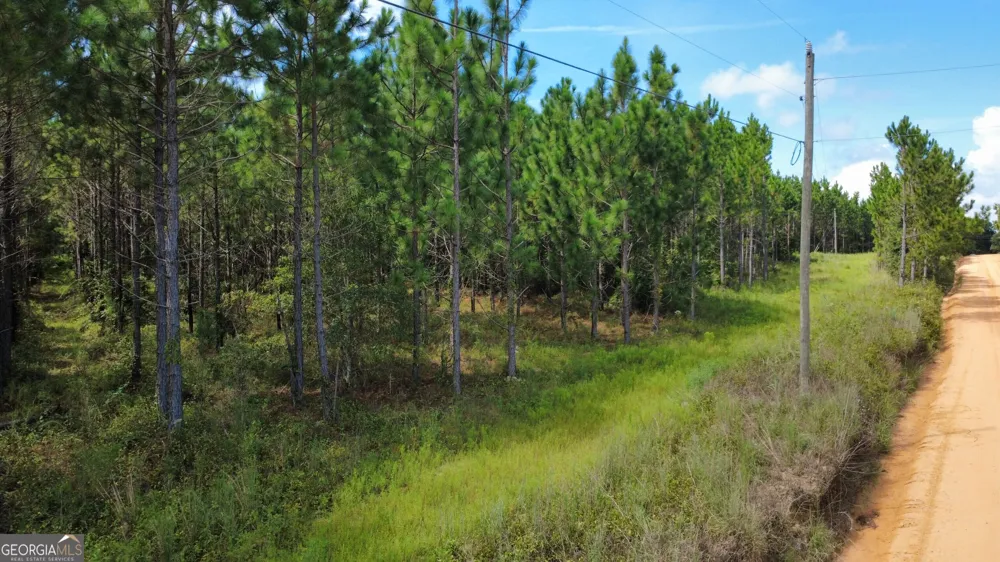 TRACT 3 A L Reeves RD Fitzgerald, GA 31750