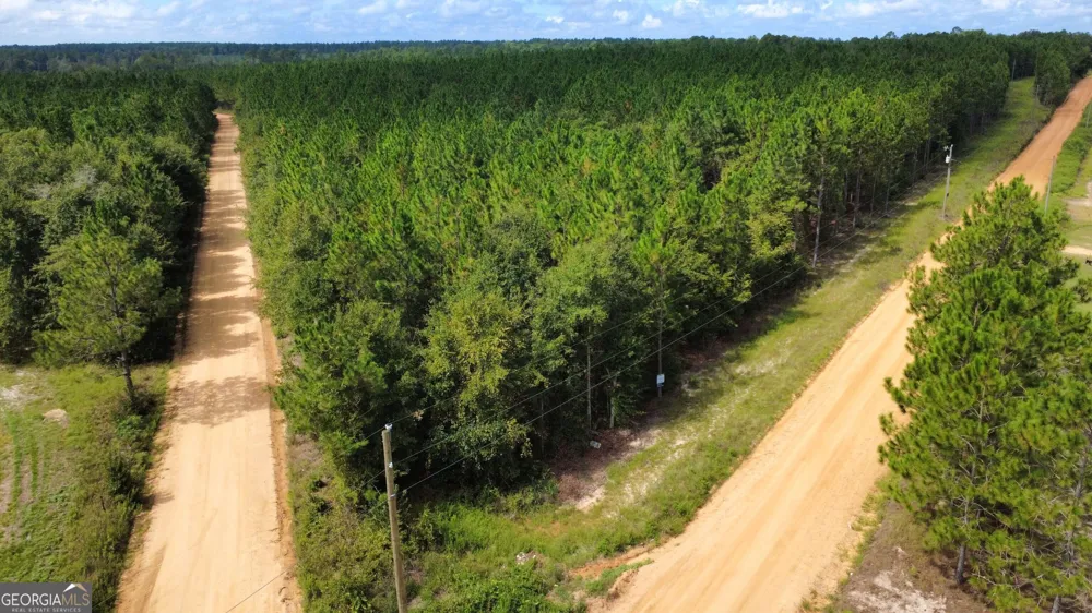 TRACT 4 A L Reeves RD Fitzgerald, GA 31750