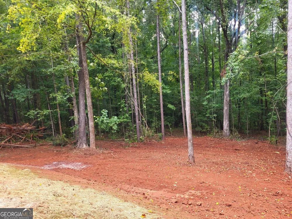 6491 13th CT SW Lanett, AL 36863