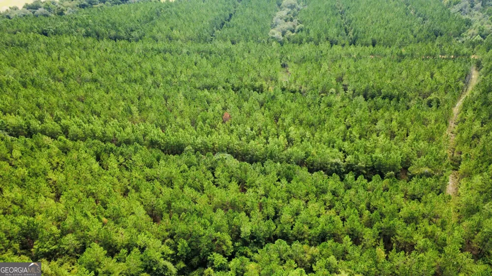 TRACT 6 Sunflower RD Fitzgerald, GA 31750