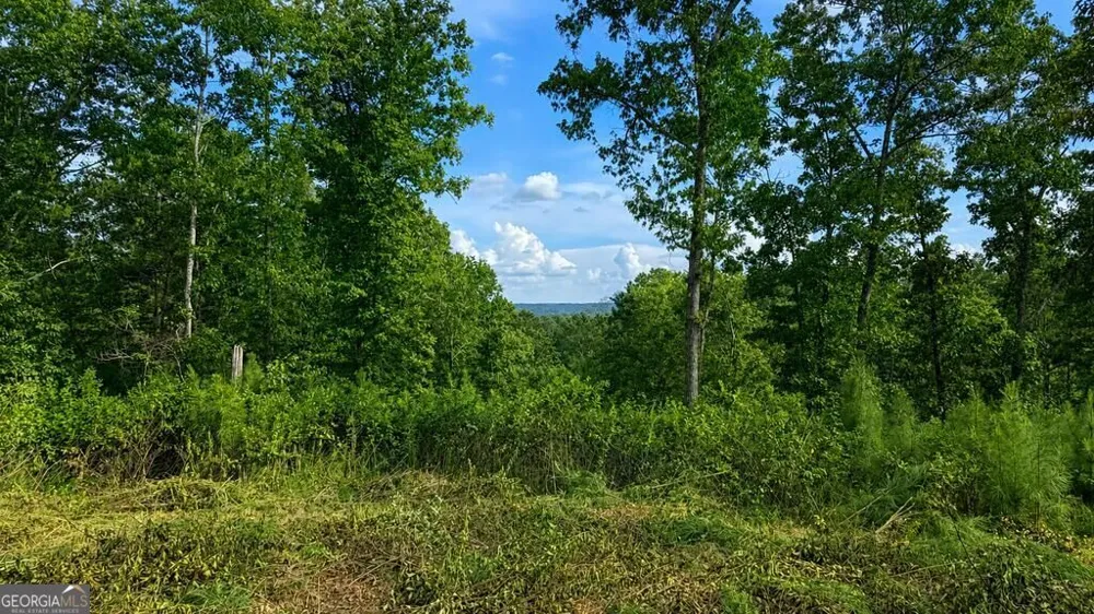 LT 160 Shallow Water TRL Talking Rock, GA 30175