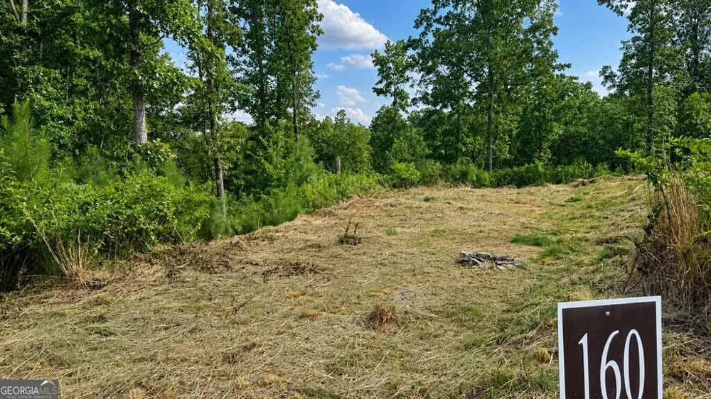 LT 160 Shallow Water TRL Talking Rock, GA 30175
