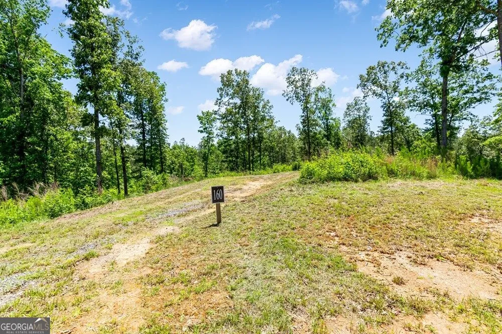 LT 160 Shallow Water TRL Talking Rock, GA 30175