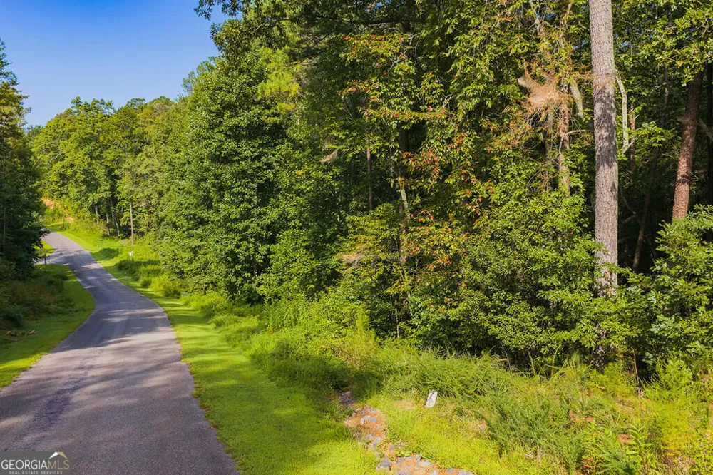 186 Pinnacle DR Ellijay, GA 30540