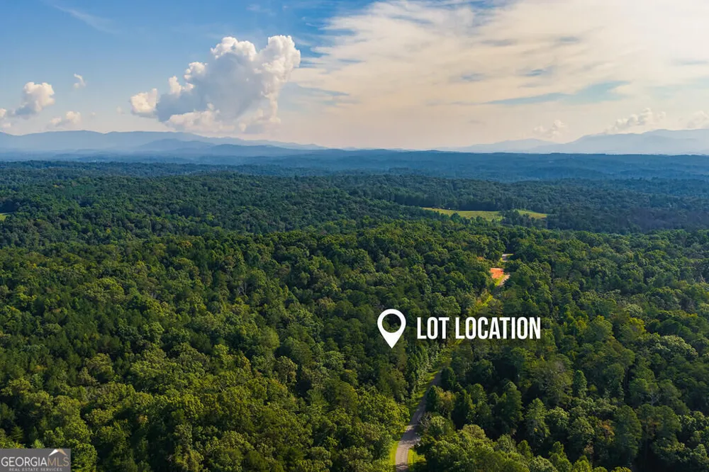 186 Pinnacle DR Ellijay, GA 30540