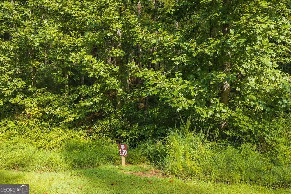 186 Pinnacle DR Ellijay, GA 30540