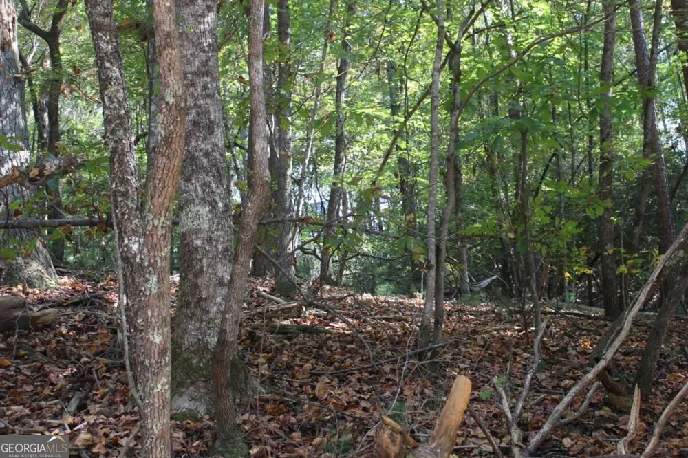 LOT 546 Satsuma North CT Ellijay, GA 30540