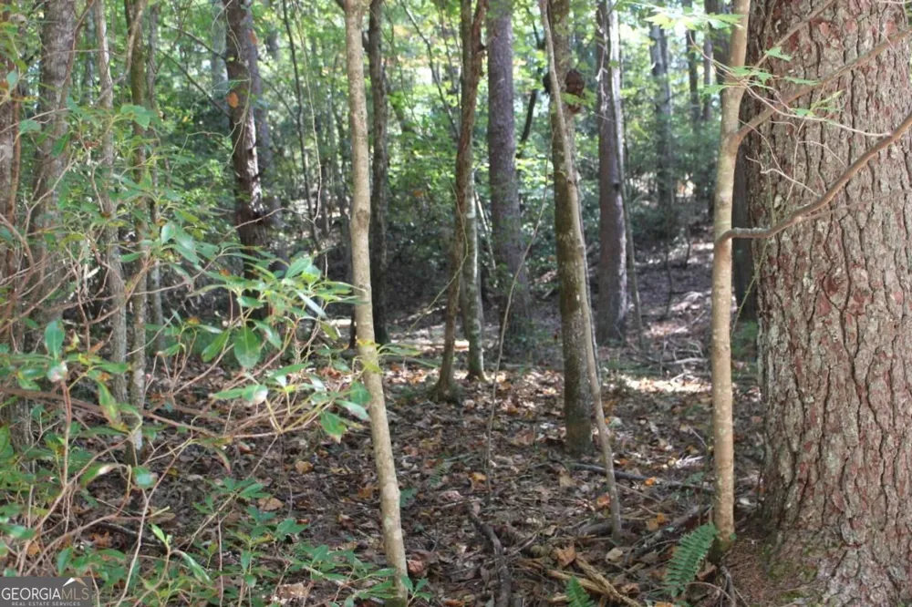 LOT 546 Satsuma North CT Ellijay, GA 30540