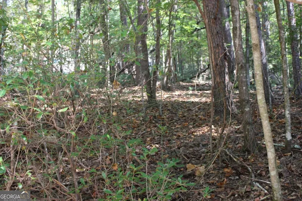 LOT 546 Satsuma North CT Ellijay, GA 30540