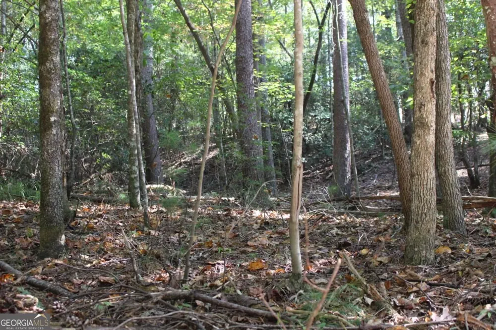 LOT 546 Satsuma North CT Ellijay, GA 30540