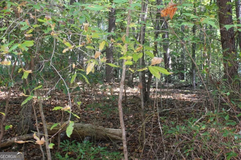 LOT 546 Satsuma North CT Ellijay, GA 30540