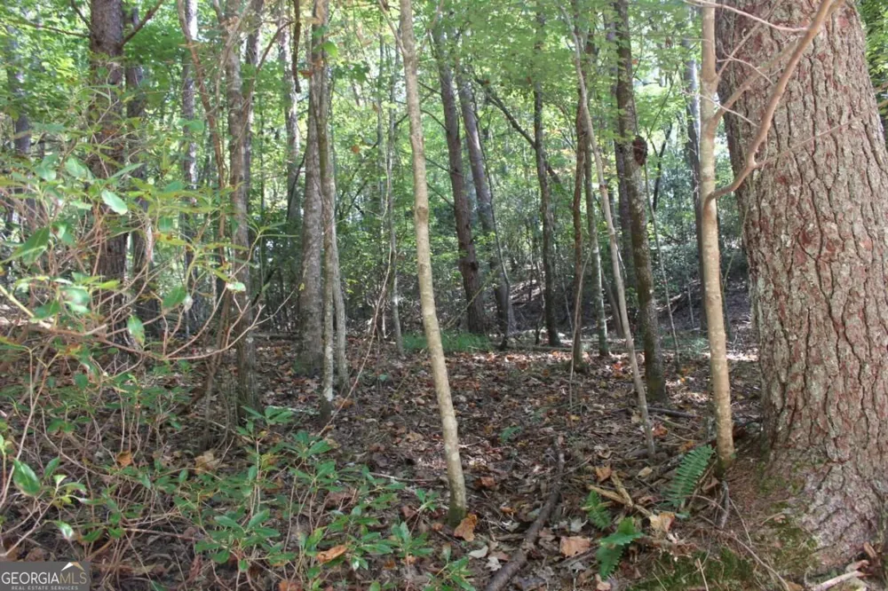 LOT 546 Satsuma North CT Ellijay, GA 30540