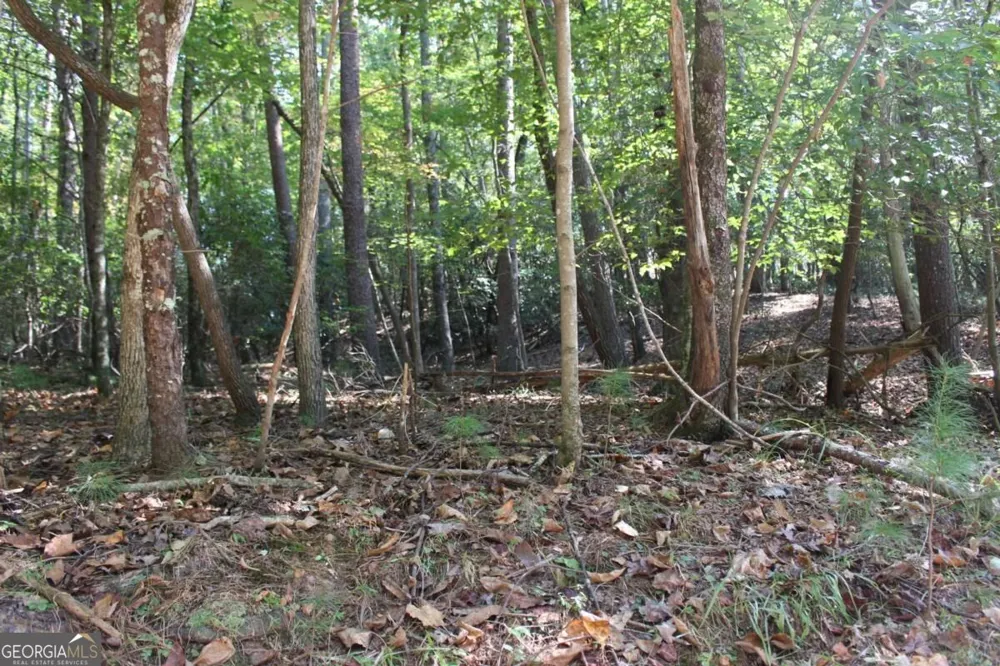LOT 546 Satsuma North CT Ellijay, GA 30540