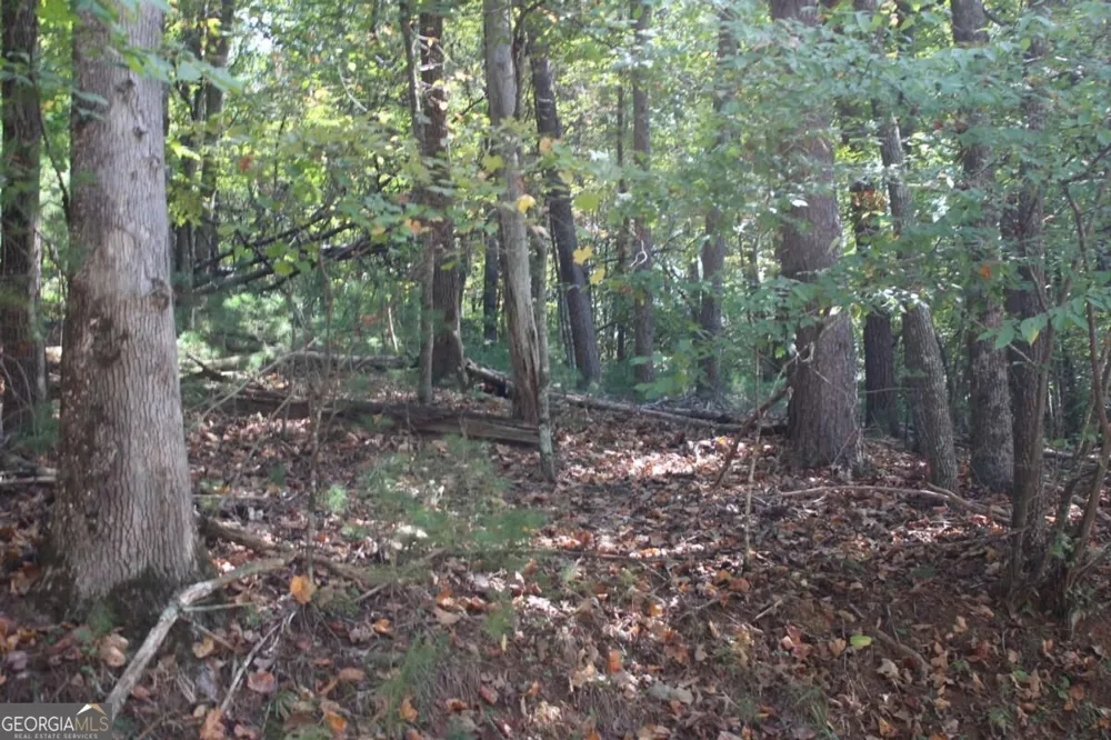 LOT 546 Satsuma North CT Ellijay, GA 30540