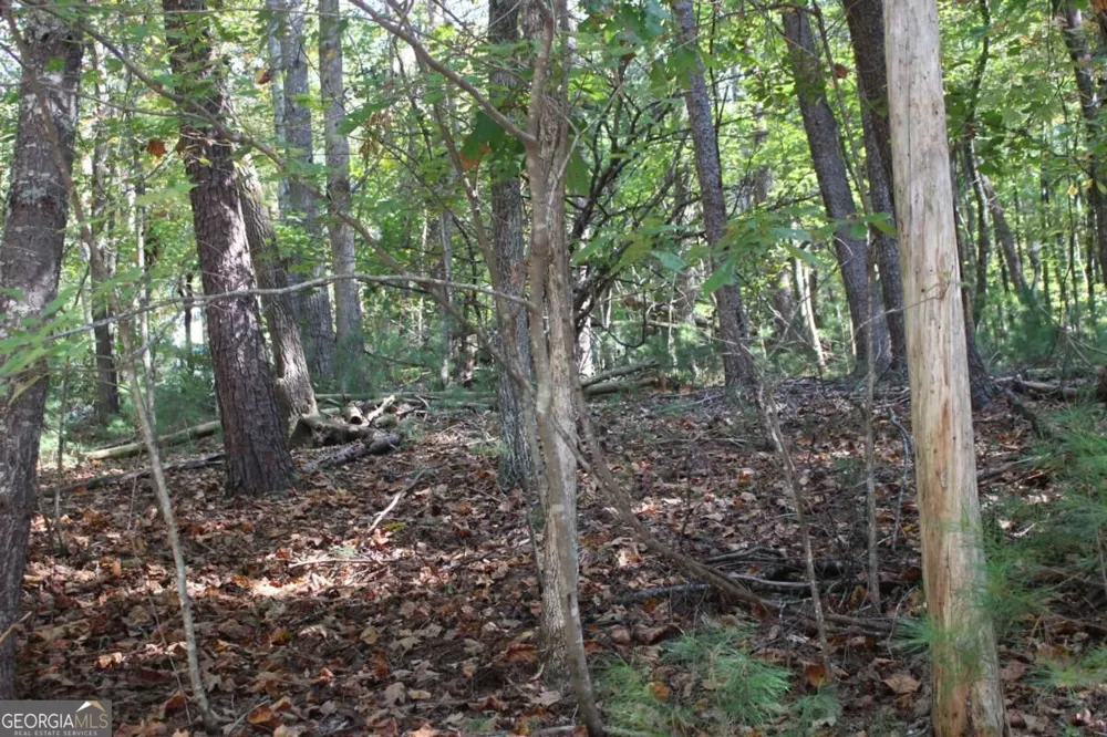 LOT 546 Satsuma North CT Ellijay, GA 30540