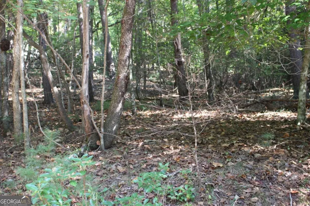 LOT 546 Satsuma North CT Ellijay, GA 30540
