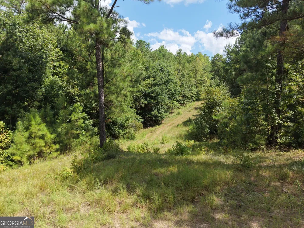 490 Sparta HWY Milledgeville, GA 31061