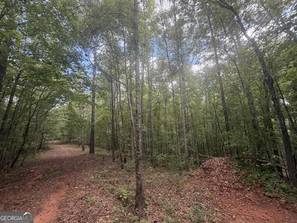 490 Sparta HWY Milledgeville, GA 31061