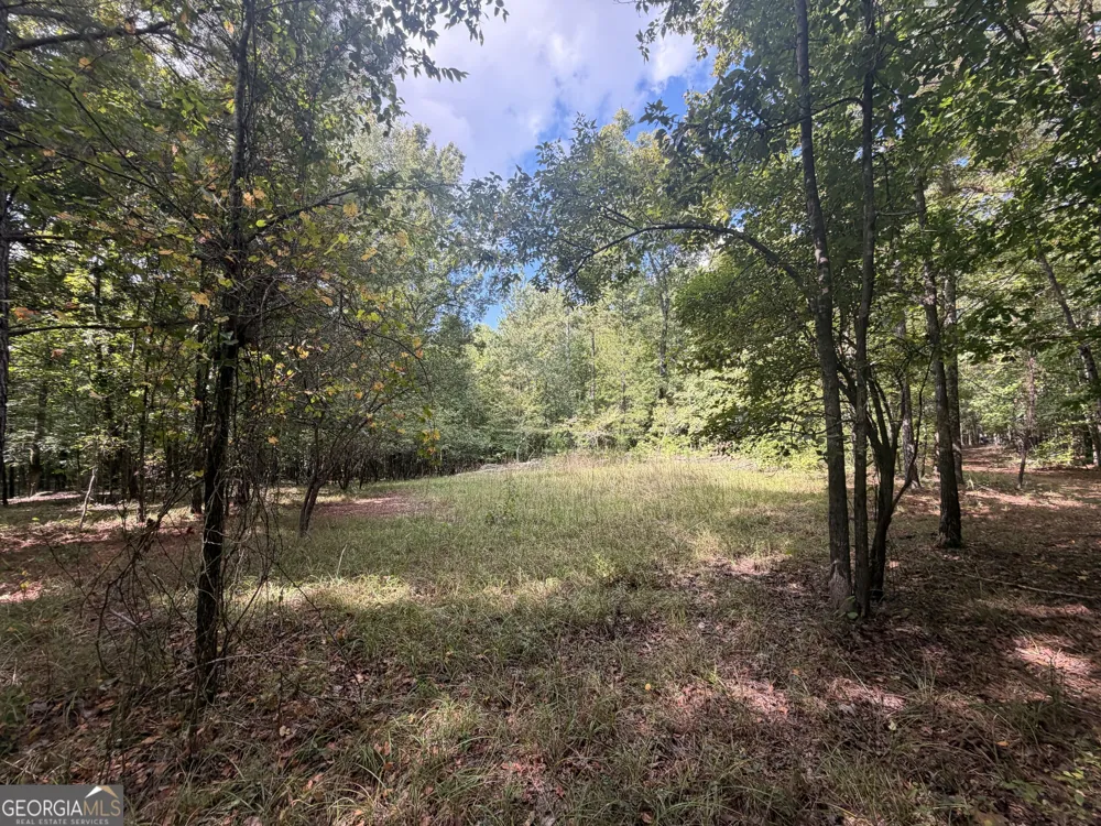 490 Sparta HWY Milledgeville, GA 31061