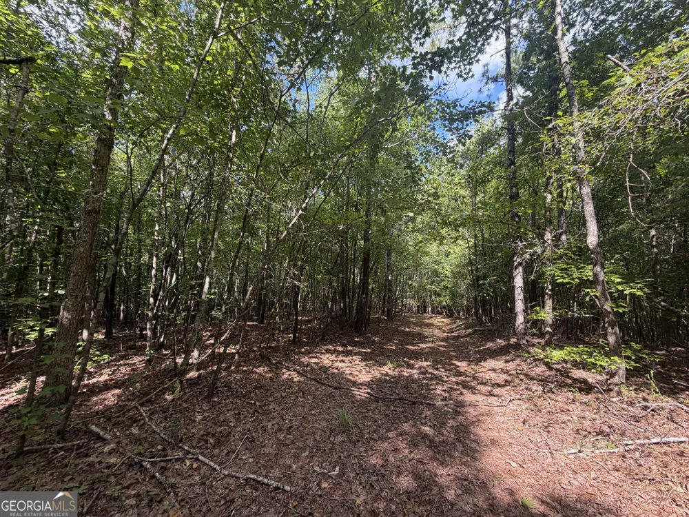 490 Sparta HWY Milledgeville, GA 31061