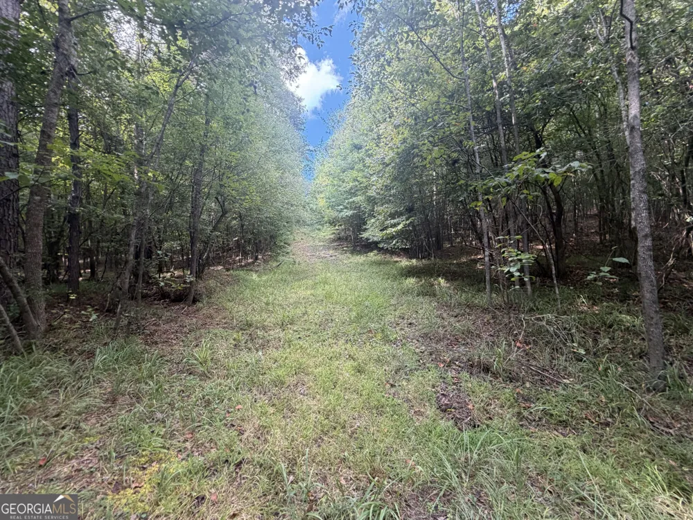 490 Sparta HWY Milledgeville, GA 31061