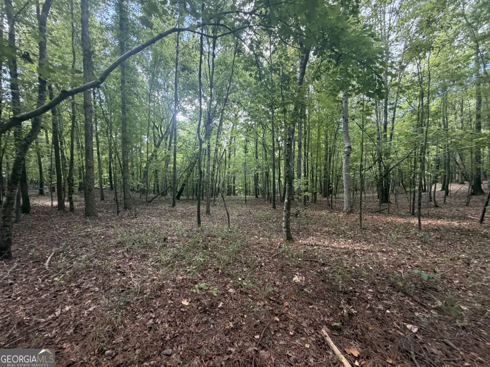 490 Sparta HWY Milledgeville, GA 31061