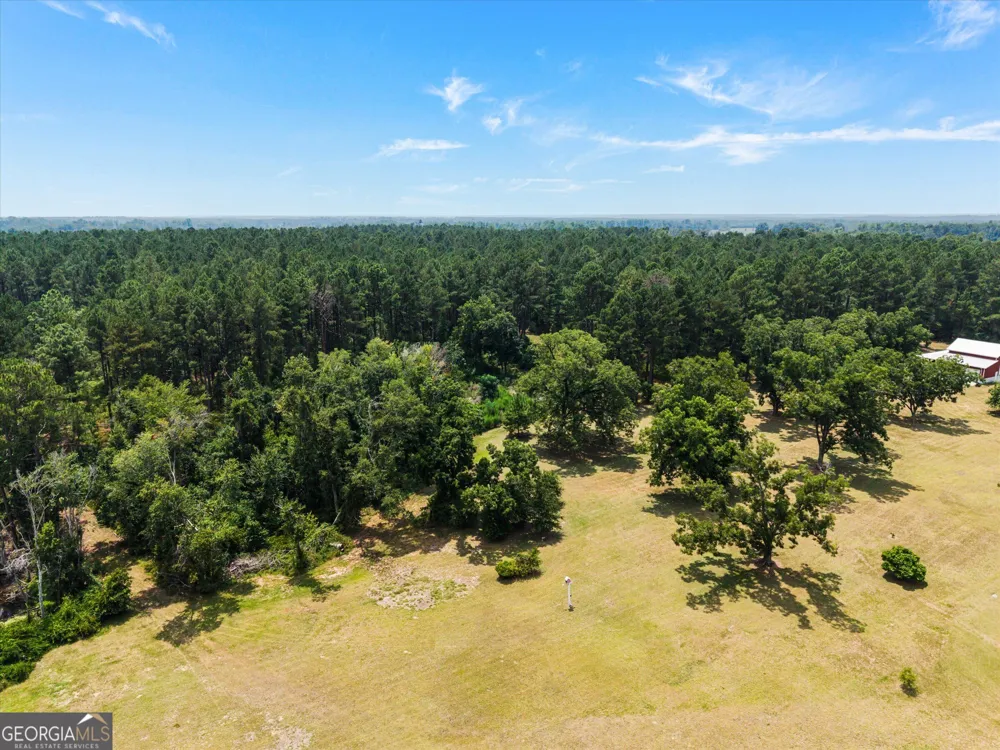 2224 Chainey Briar Rd Metter, GA 30439