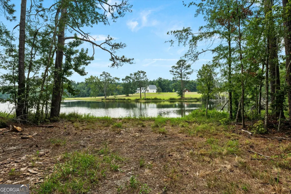 2224 Chainey Briar Rd Metter, GA 30439