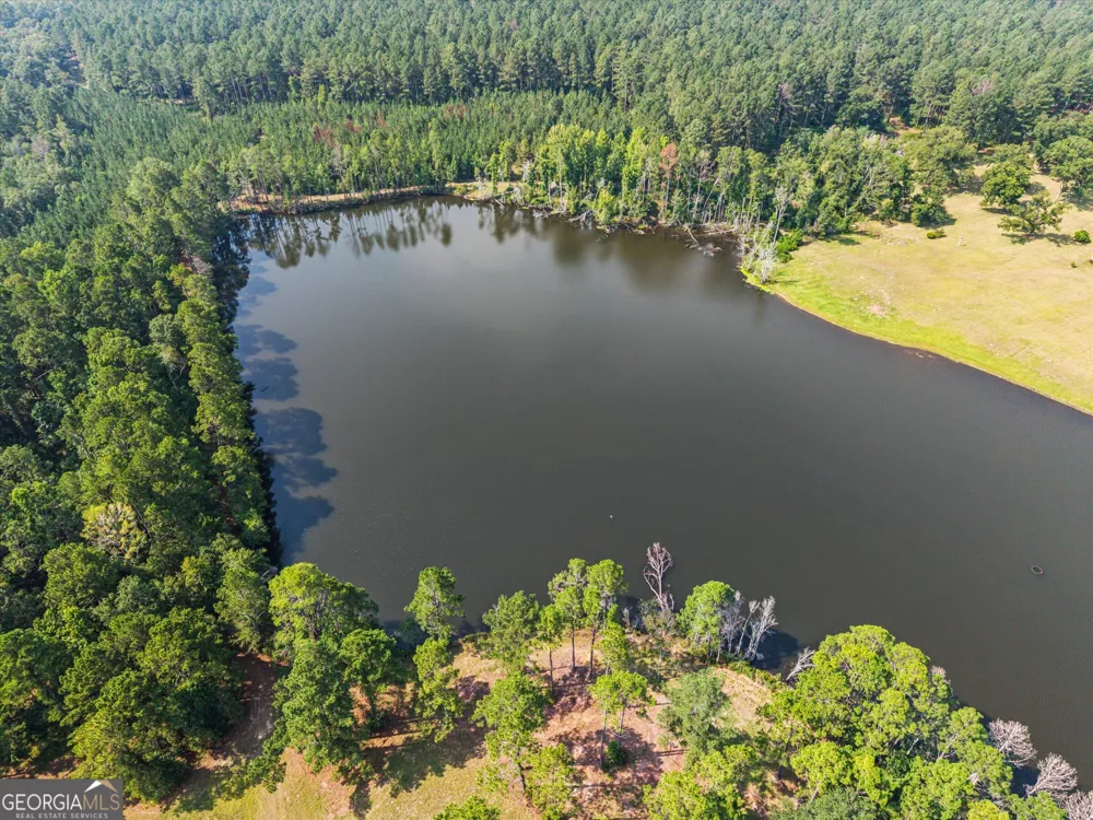 2224 Chainey Briar Rd Metter, GA 30439