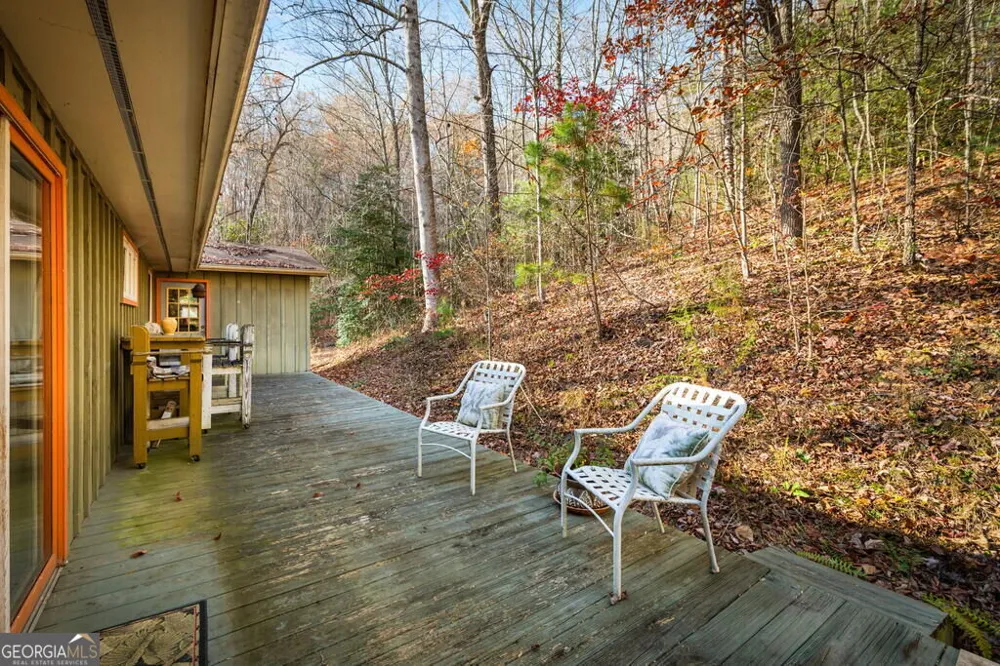 208 Bullen Gap RD Blue Ridge, GA 30513