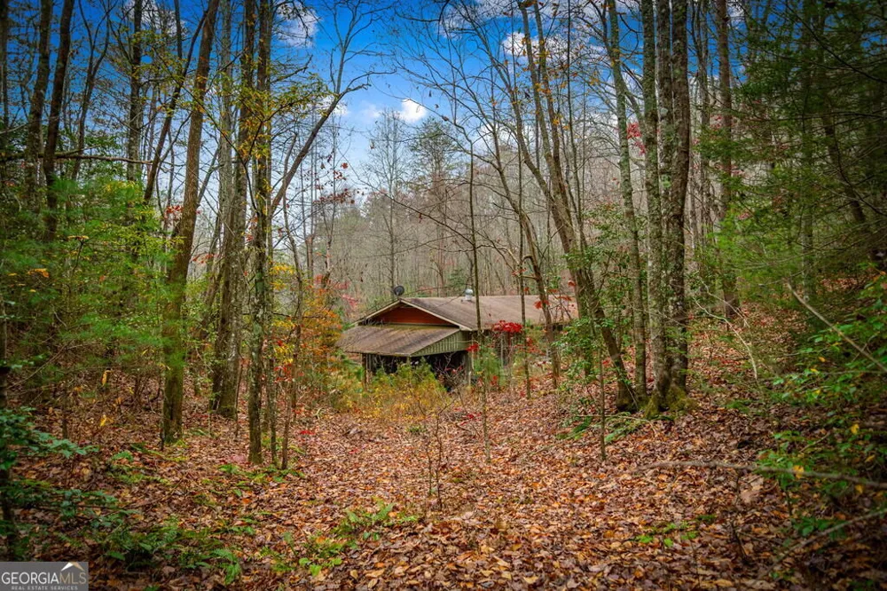 208 Bullen Gap RD Blue Ridge, GA 30513