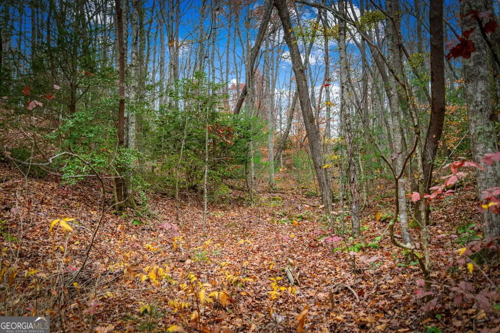 208 Bullen Gap RD Blue Ridge, GA 30513
