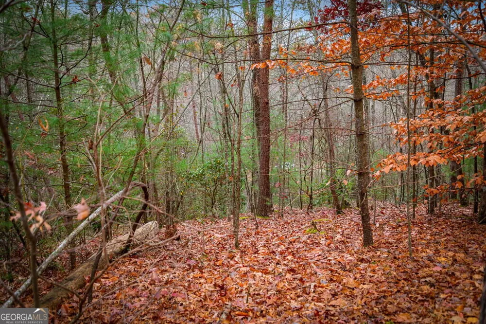 208 Bullen Gap RD Blue Ridge, GA 30513