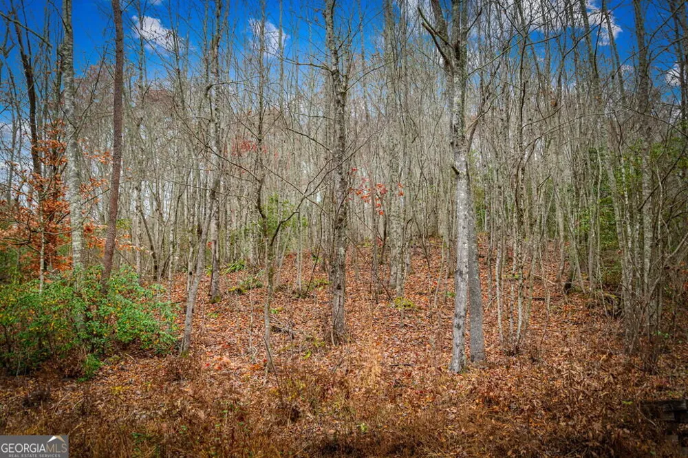 208 Bullen Gap RD Blue Ridge, GA 30513