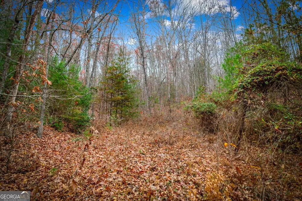 5.97AC Bullen Gap RD Blue Ridge, GA 30513