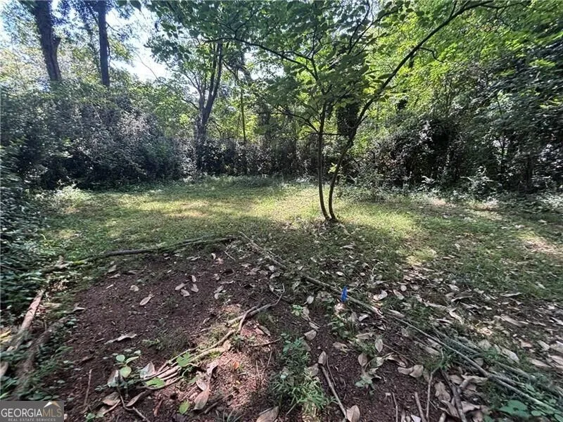 232 Main ST E Dahlonega, GA 30533