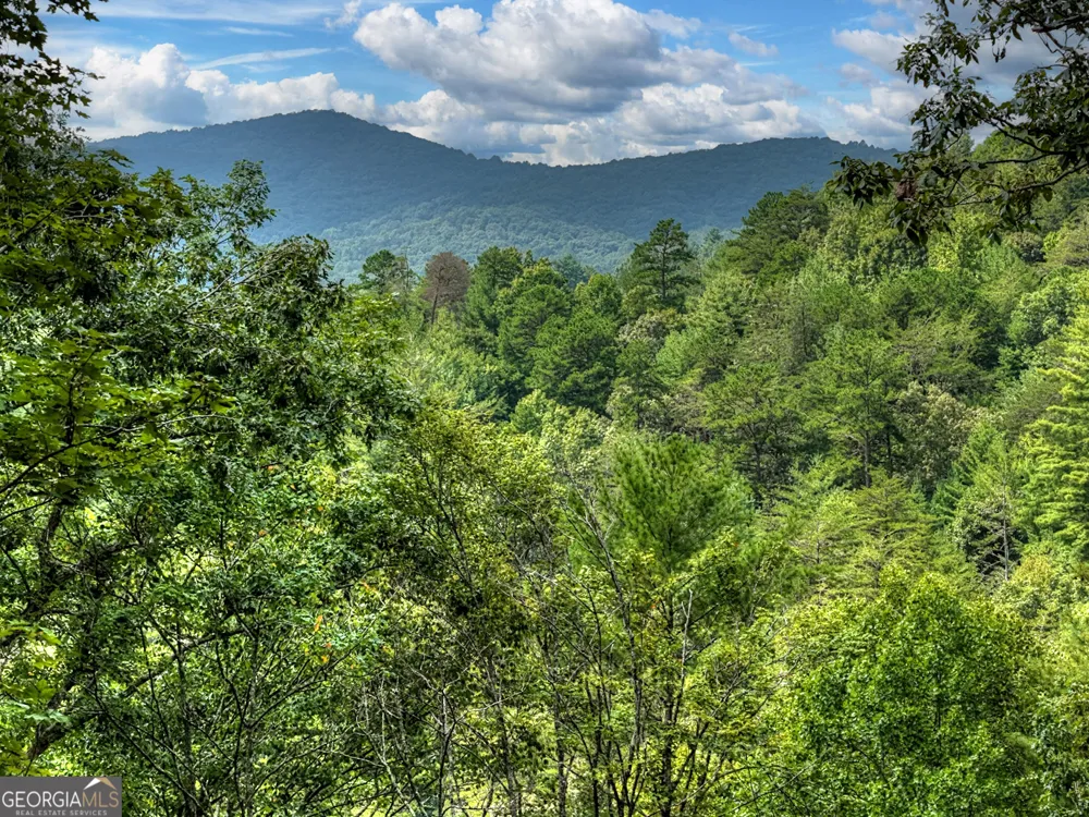 1821 Stanley Creek RD Cherry Log, GA 30522