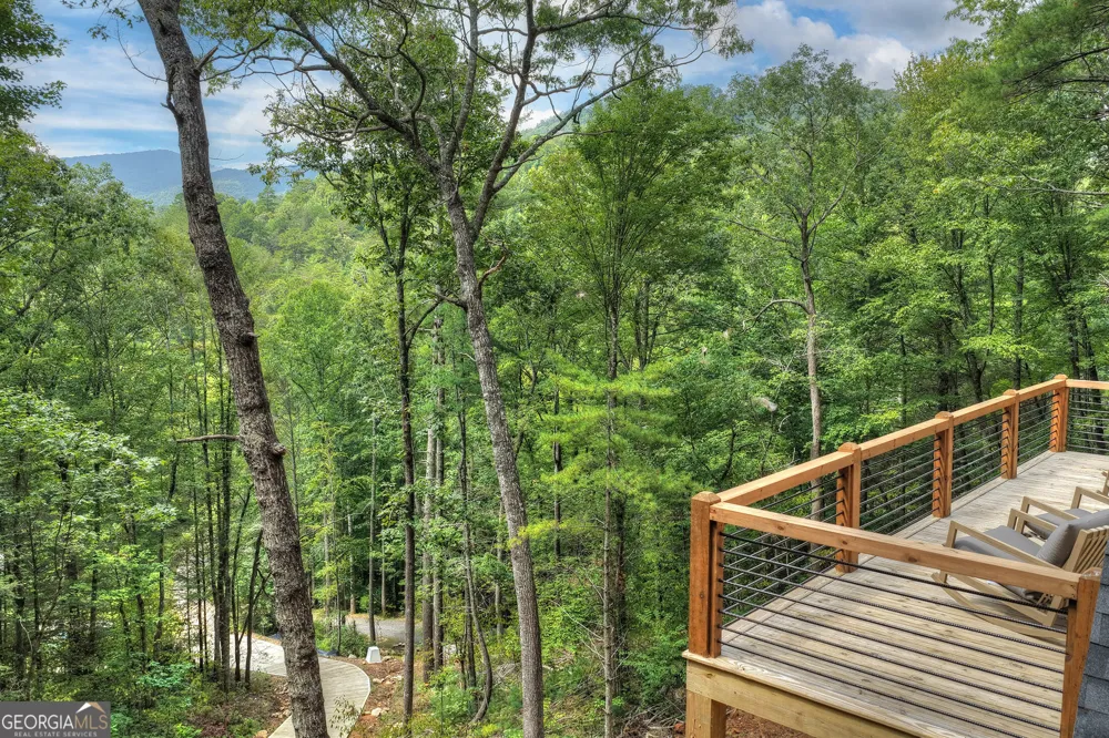 1821 Stanley Creek RD Cherry Log, GA 30522