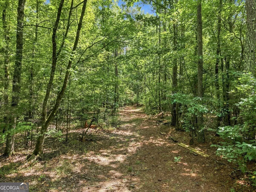 0 Cherokee RD Elberton, GA 30635