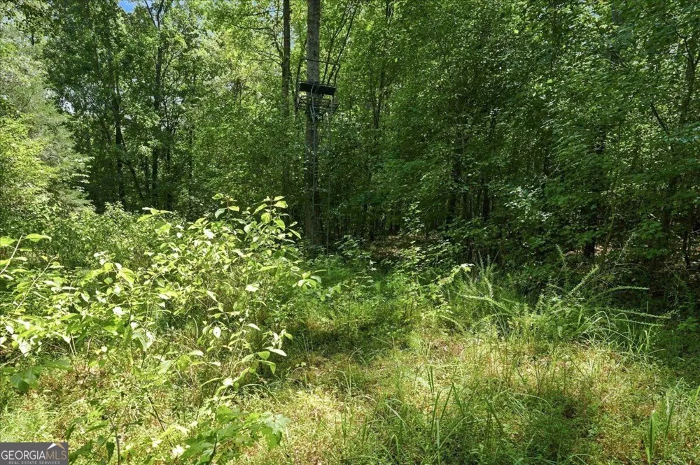 0 Cherokee RD Elberton, GA 30635