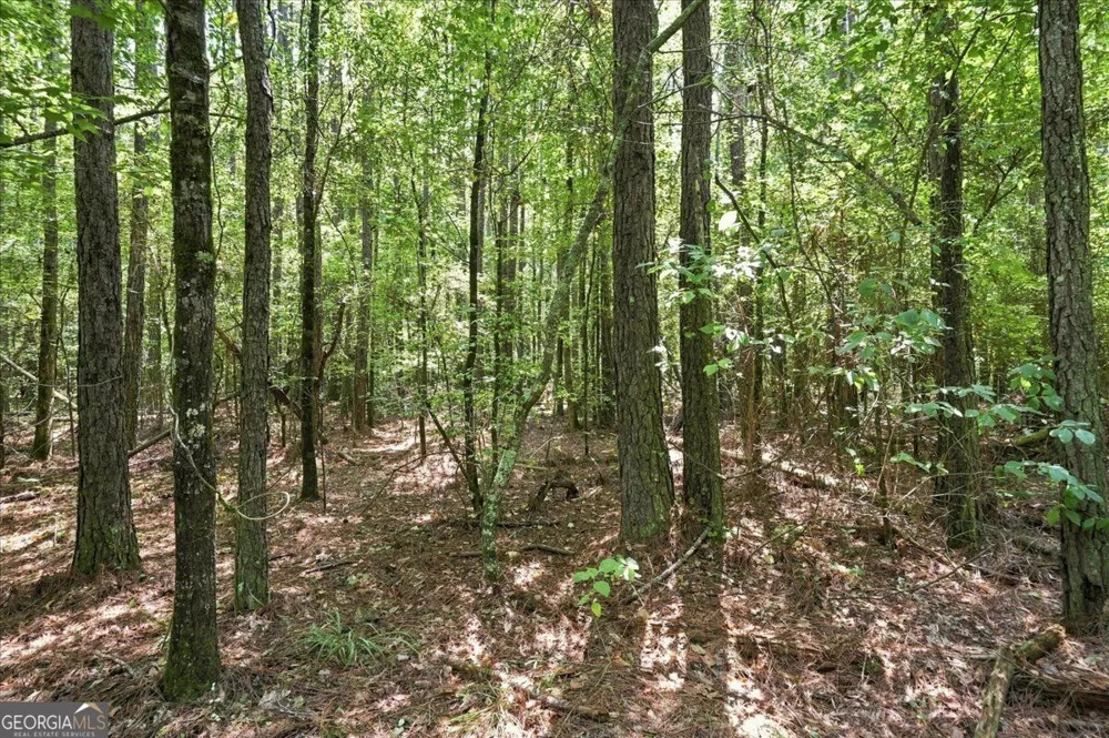 0 Cherokee RD Elberton, GA 30635